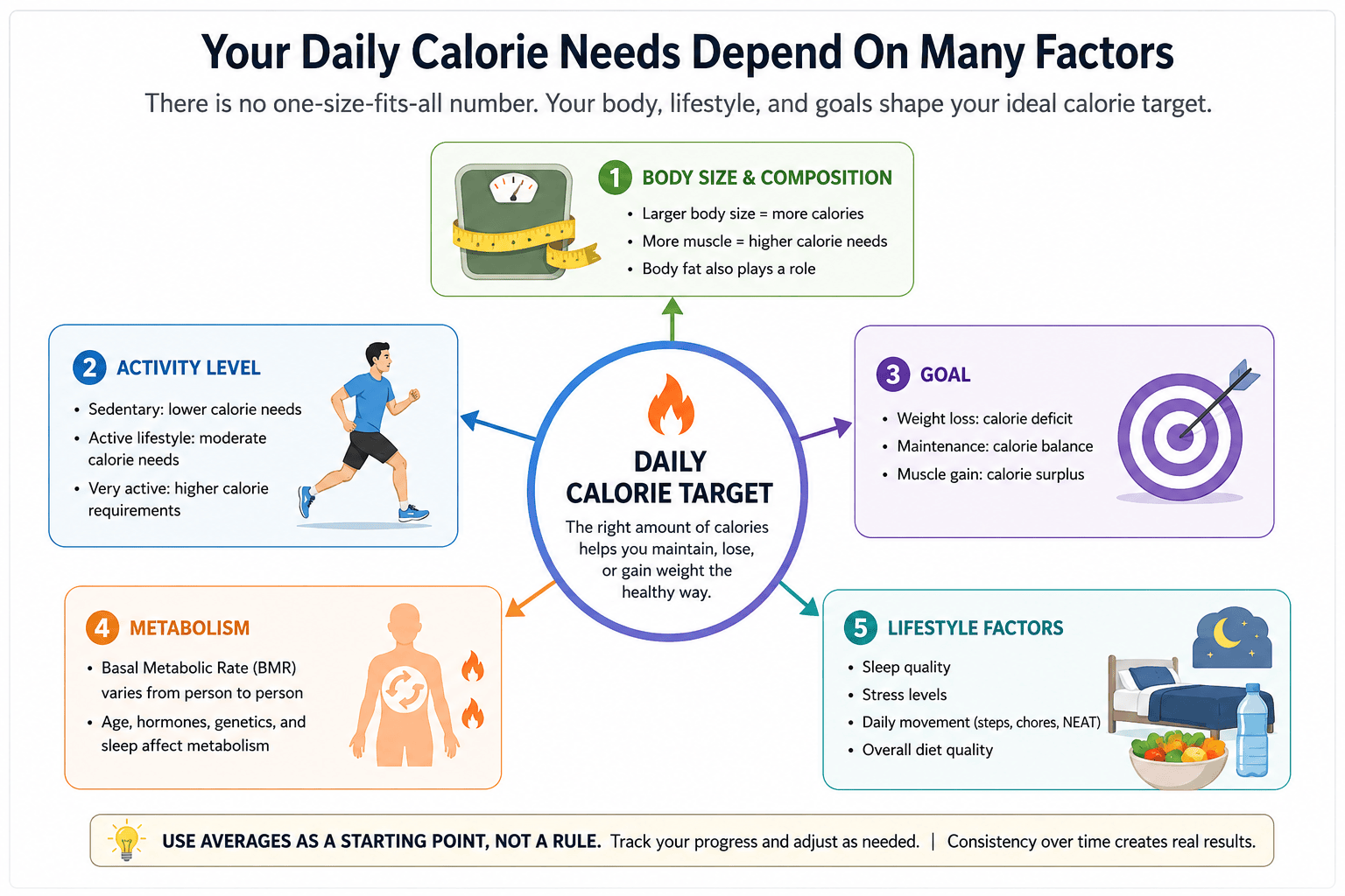 Diagram showing that daily calorie targets depend on body size, activity level, goal, and metabolism