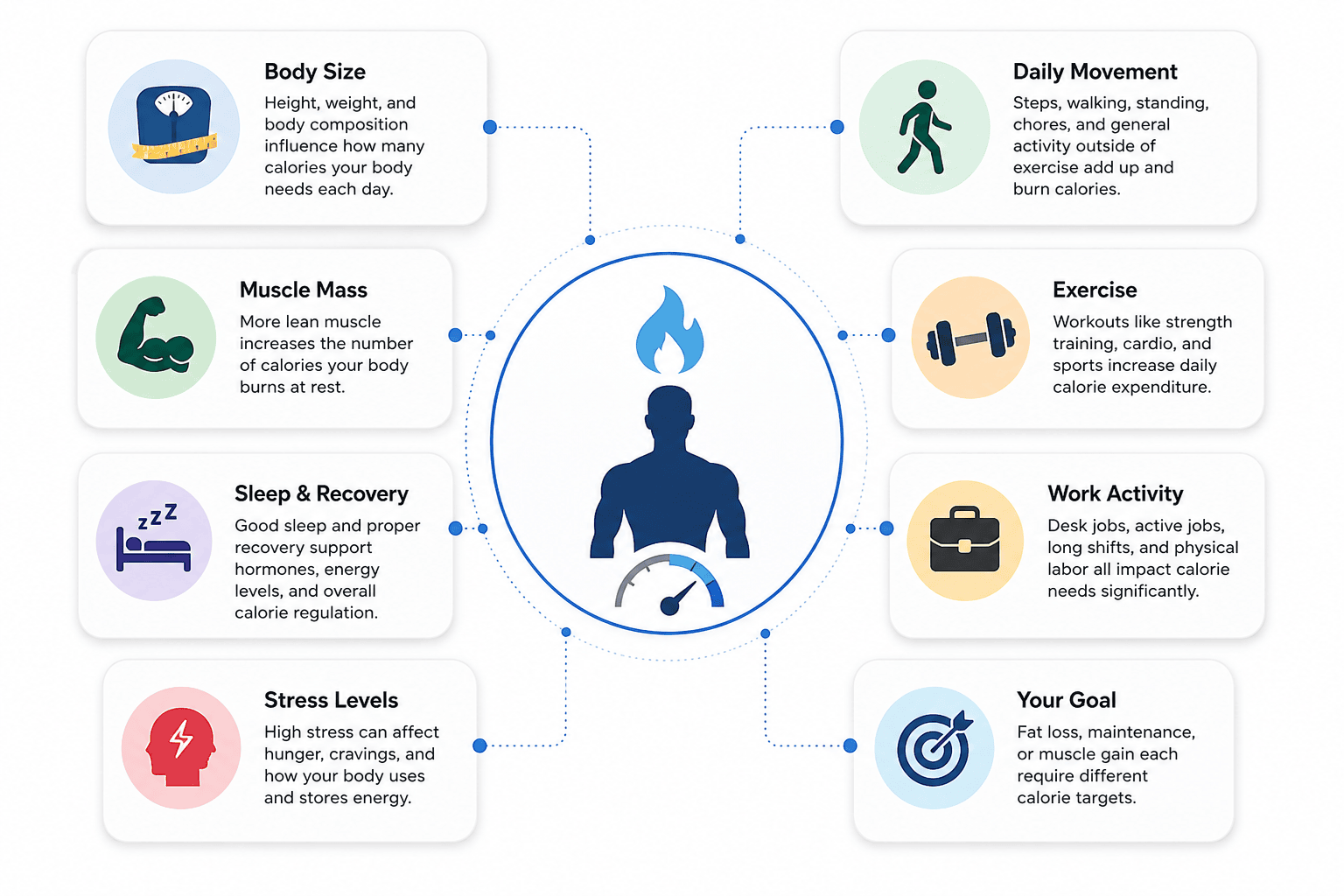 Infographic showing the factors that affect daily calorie needs for men including metabolism, activity level, exercise, muscle mass, and lifestyle