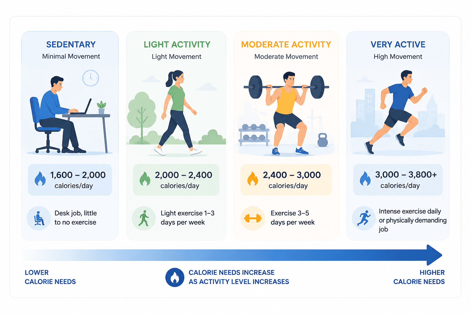 Daily calorie needs comparison chart showing how calorie intake changes based on activity level and lifestyle