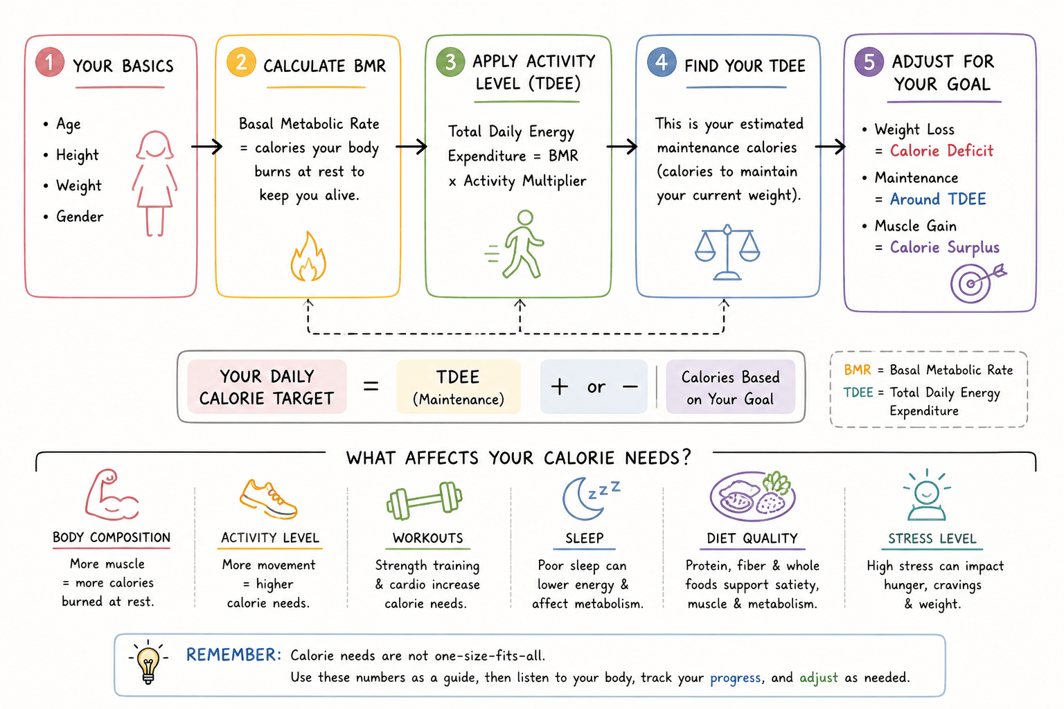 Diagram explaining how a woman's daily calorie needs are determined from body basics, BMR, activity level, TDEE, and goal