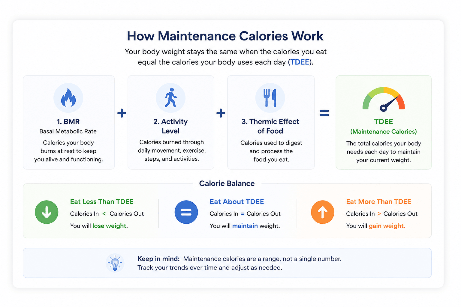 Maintenance calorie infographic showing BMR, activity level, TDEE, and calorie balance for maintaining weight