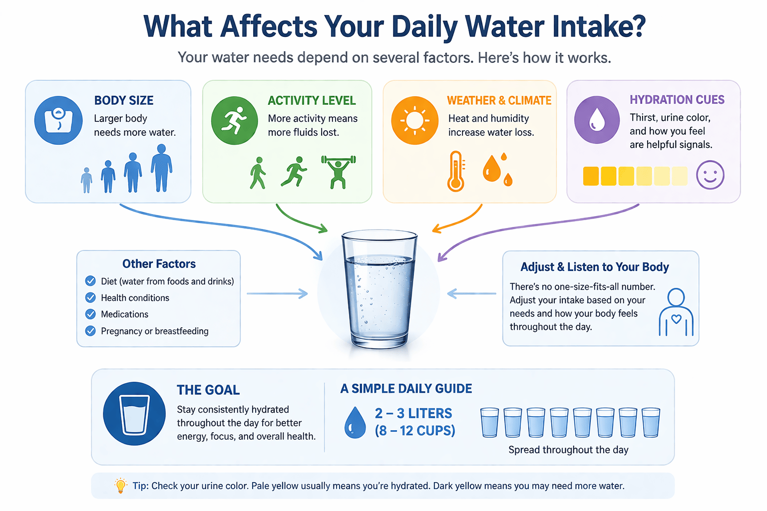 Daily water intake diagram showing body size, activity level, weather, and hydration cues affecting how much water you should drink per day